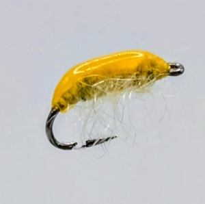 Gammare léger jaune