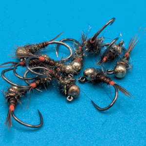 NAF Faisan cul orange