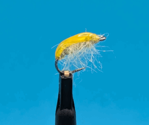 Gammare léger jaune