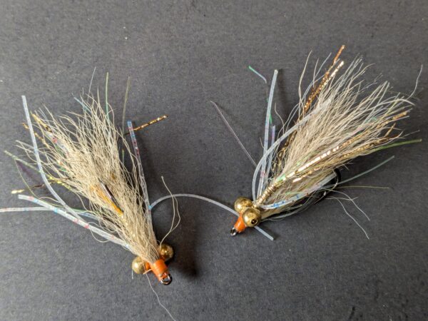 Bonefish shrimp