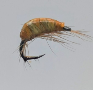 Gammare Slovène jaune