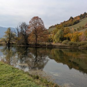 Boite Bosnie automne Escape Fly fishing - Pack 24 mouches sèches