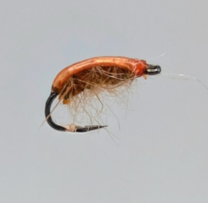 Gammare léger orange
