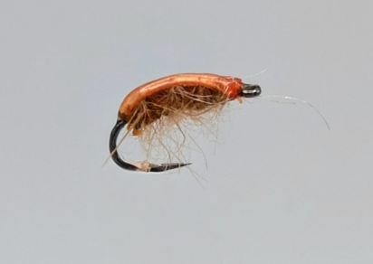 Gammare léger orange