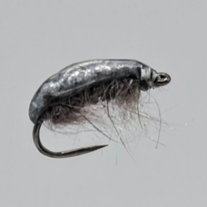 Gammare léger gris