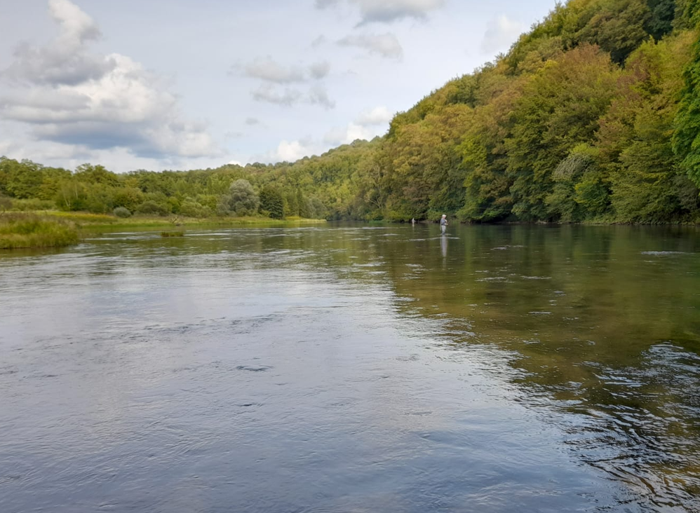 Boite Pologne printemps / ete Escape Fly fishing