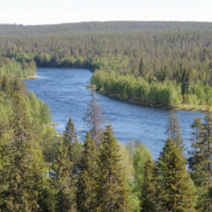 Boite Norvège Escape Fly fishing