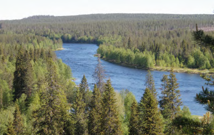 Boite Norvège Escape Fly fishing