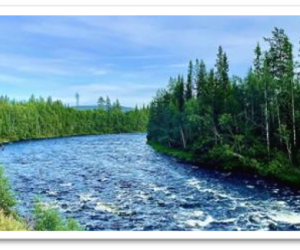 Boite Laponie suédoise Escape Fly fishing